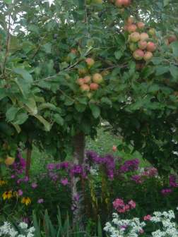 DSC07090.JPG